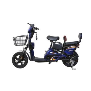 Adult 48v12Ah electric bicycle Blue