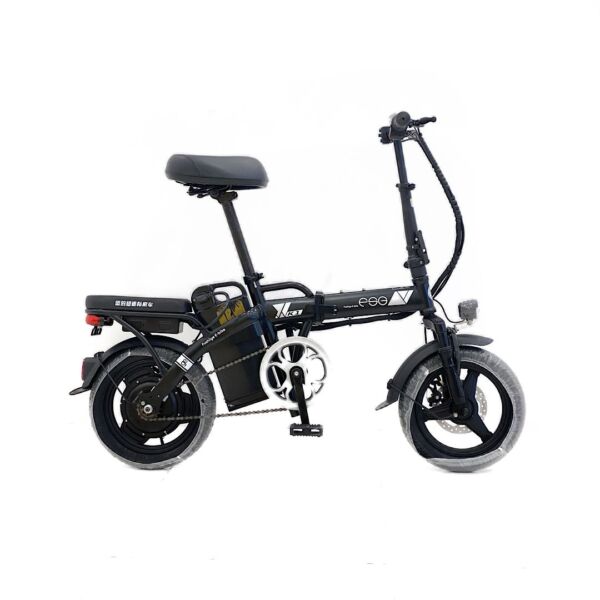 ESG Foldable Electric Bike