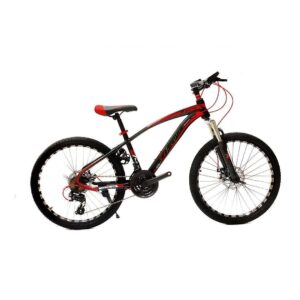 Aster Phoenix Mountain Bike 26 inch
