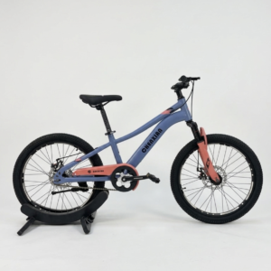 22 Inch CHENXIAN Mountain Bike with Disc Brakes