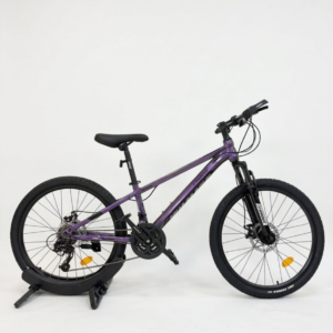 20 Inch Mountain Bike With Disc Brakes