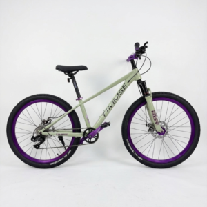 26 Inch TIMMSE Mountain Bike With Disc Brakes
