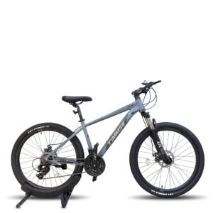 27 Inch TIMMSE Bicycle With Disc Brakes