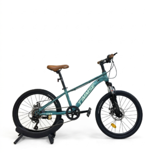 22 Inch TIMMSE Mountain Bike With Disc Brakes