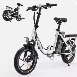 WINDHORSE W2B Electric Bike