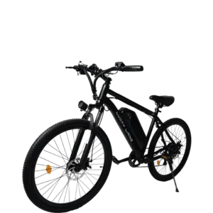 Lucky Liang DS01 Electric Bike