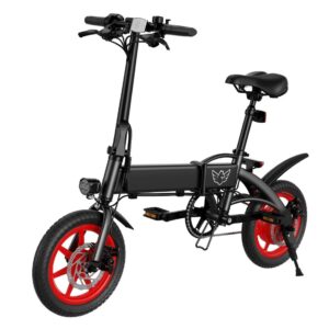 Windhorse C19 Folding Electric Bike